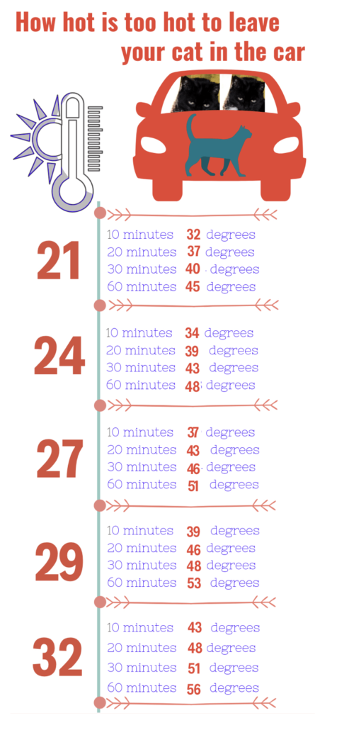 CarTempChart