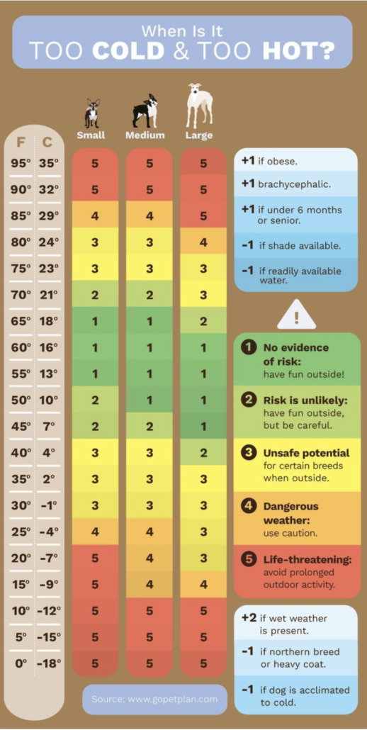 TempChart